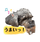 くうちゃんだよ④（個別スタンプ：36）