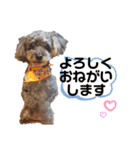 くうちゃんだよ④（個別スタンプ：40）