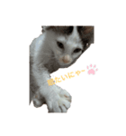 ふうスタんぷ（個別スタンプ：1）