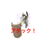 ふうスタんぷ（個別スタンプ：4）