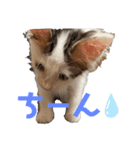 ふうスタんぷ（個別スタンプ：8）