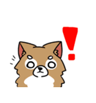 うちの可愛い犬たち（個別スタンプ：1）