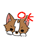 うちの可愛い犬たち（個別スタンプ：4）