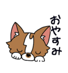 うちの可愛い犬たち（個別スタンプ：5）