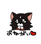 うちの可愛い犬たち（個別スタンプ：6）