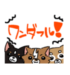 うちの可愛い犬たち（個別スタンプ：7）