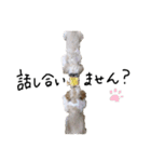 もさおーず（個別スタンプ：12）