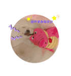 ♡ねりけしくん♡（個別スタンプ：3）