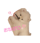 ♡ねりけしくん♡（個別スタンプ：7）
