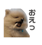 ♡ねりけしくん♡（個別スタンプ：8）