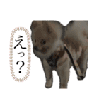 ♡ねりけしくん♡（個別スタンプ：9）
