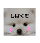 ♡ねりけしくん♡（個別スタンプ：10）