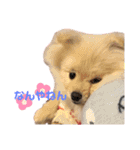 ♡ねりけしくん♡（個別スタンプ：11）