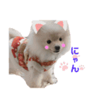 ♡ねりけしくん♡（個別スタンプ：13）