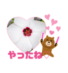 なつ♡（個別スタンプ：12）