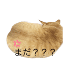 roséとvividの心のこえ。（個別スタンプ：8）