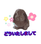 ダックン＆ゴロ兵衛  2（個別スタンプ：6）