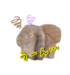 ダックン＆ゴロ兵衛  2（個別スタンプ：7）