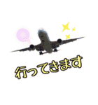 ダックン＆ゴロ兵衛  2（個別スタンプ：11）
