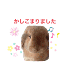 ダックン＆ゴロ兵衛  2（個別スタンプ：13）