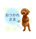わんぱくさんめいちゃん（個別スタンプ：3）