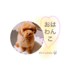 わんぱくさんめいちゃん（個別スタンプ：5）