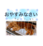 わんぱくさんめいちゃん（個別スタンプ：8）