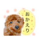 わんぱくさんめいちゃん（個別スタンプ：11）
