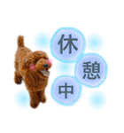 わんぱくさんめいちゃん（個別スタンプ：17）