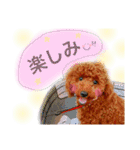 わんぱくさんめいちゃん（個別スタンプ：19）