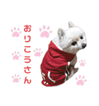 0歳Babyこうせいくん（個別スタンプ：38）
