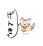 話しかけてくる猫（個別スタンプ：7）