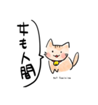 話しかけてくる猫（個別スタンプ：8）