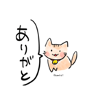 話しかけてくる猫（個別スタンプ：9）