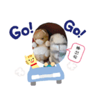 とんさまと愉快な仲間たち（個別スタンプ：2）