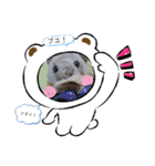 とんさまと愉快な仲間たち（個別スタンプ：5）