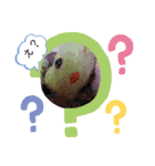 とんさまと愉快な仲間たち（個別スタンプ：6）