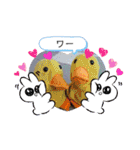 とんさまと愉快な仲間たち（個別スタンプ：8）