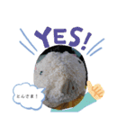 とんさまと愉快な仲間たち（個別スタンプ：25）