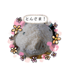 とんさまと愉快な仲間たち（個別スタンプ：26）