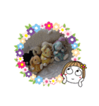 とんさまと愉快な仲間たち（個別スタンプ：38）