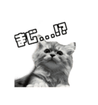 ぽったーだおん（個別スタンプ：1）