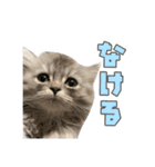 ぽったーだおん（個別スタンプ：14）