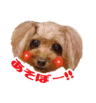 ★もか＆小麦★（個別スタンプ：1）