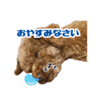 ★もか＆小麦★（個別スタンプ：2）
