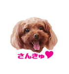 ★もか＆小麦★（個別スタンプ：3）