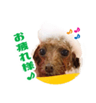 ★もか＆小麦★（個別スタンプ：4）