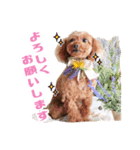 ★もか＆小麦★（個別スタンプ：5）