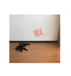うちのお猫様 黒猫（個別スタンプ：2）
