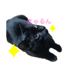 うちのお猫様 黒猫（個別スタンプ：7）